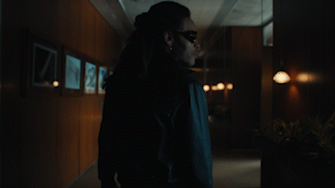 lenny kravitz smoldering