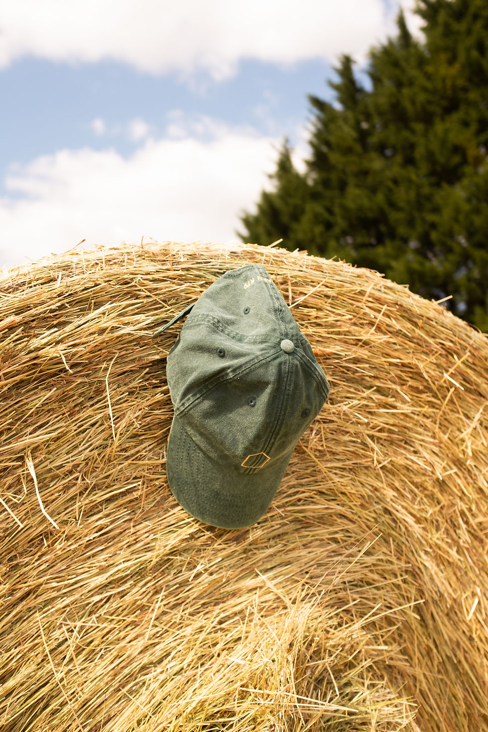 Thumbnail: The Barn Cap (green)