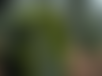 Understanding Ghosts: Mythologies and Modern Beliefs