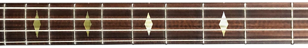 Guitar neck.png