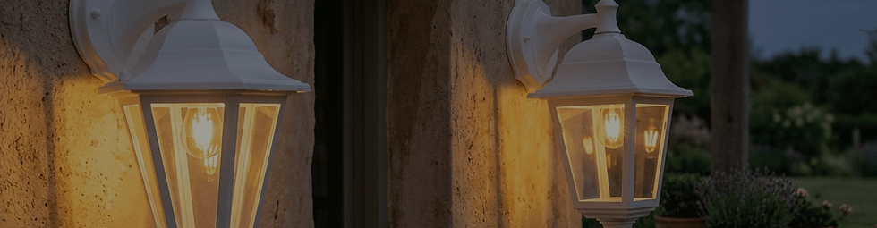 Sanelec.gif