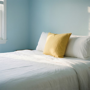 Serene Bedroom Sanctuary