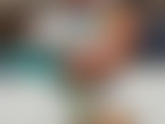 Disney Lego Heihei Project