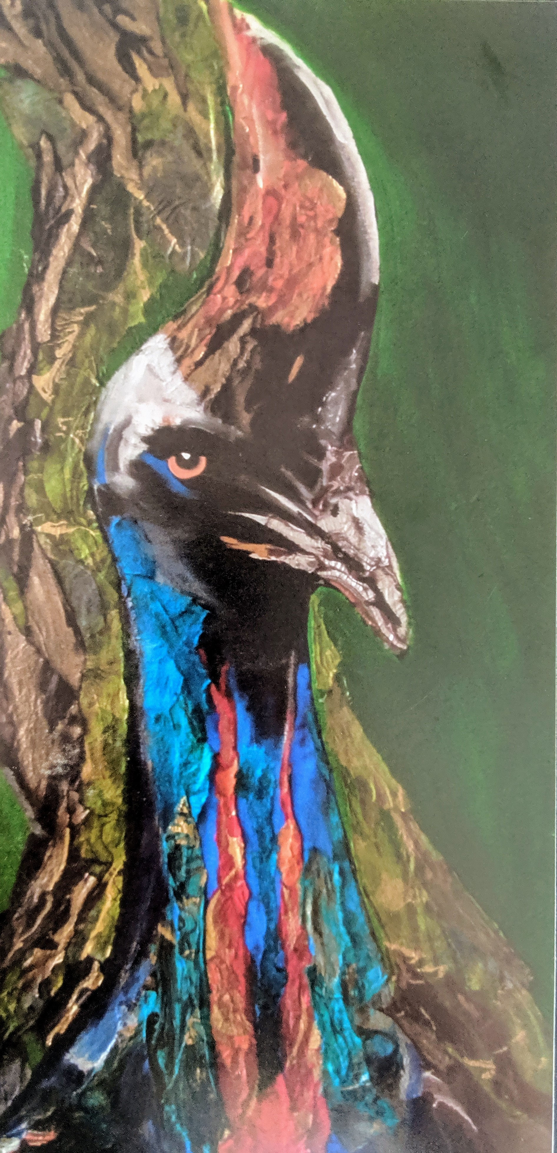 Cassowary