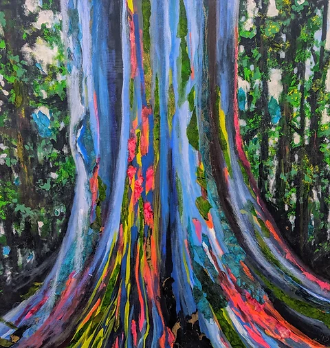 Rainbow Eucalyptus Tree Louise Wilson Artist