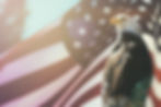 American Bald Eagle Flag Patriotism. Bal