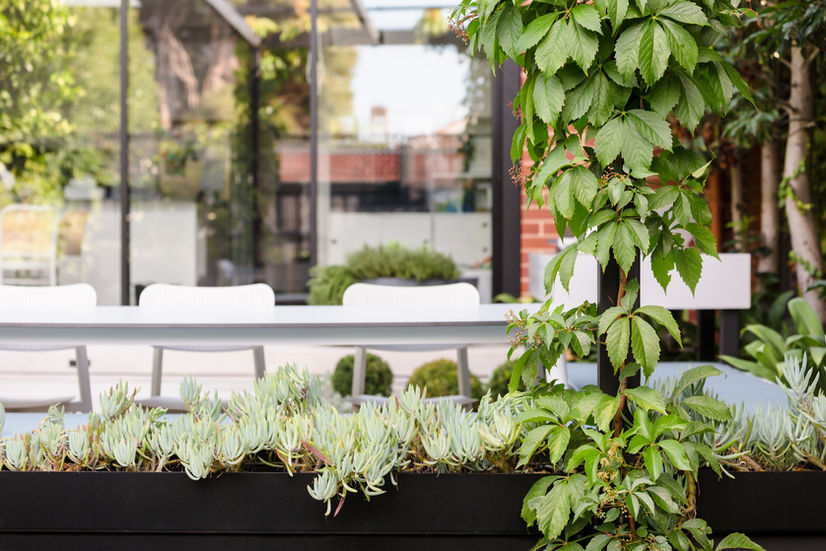 20220204-Chanak Malvern East-130-Edit