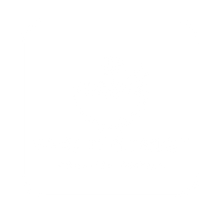 Pho District Authentic Comfort Vietnamese Food