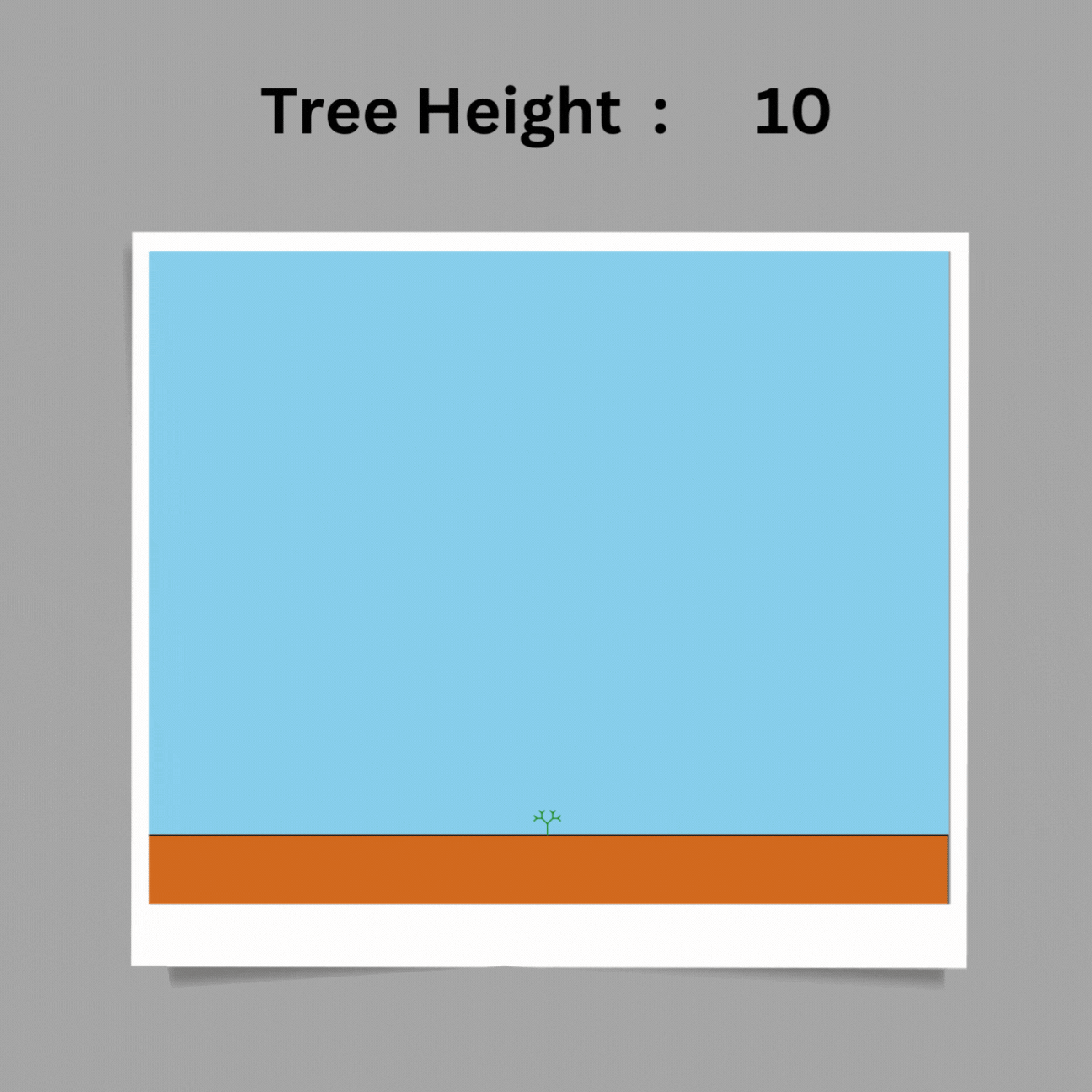 Tree Height.gif