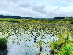 When Everything is Not Fine