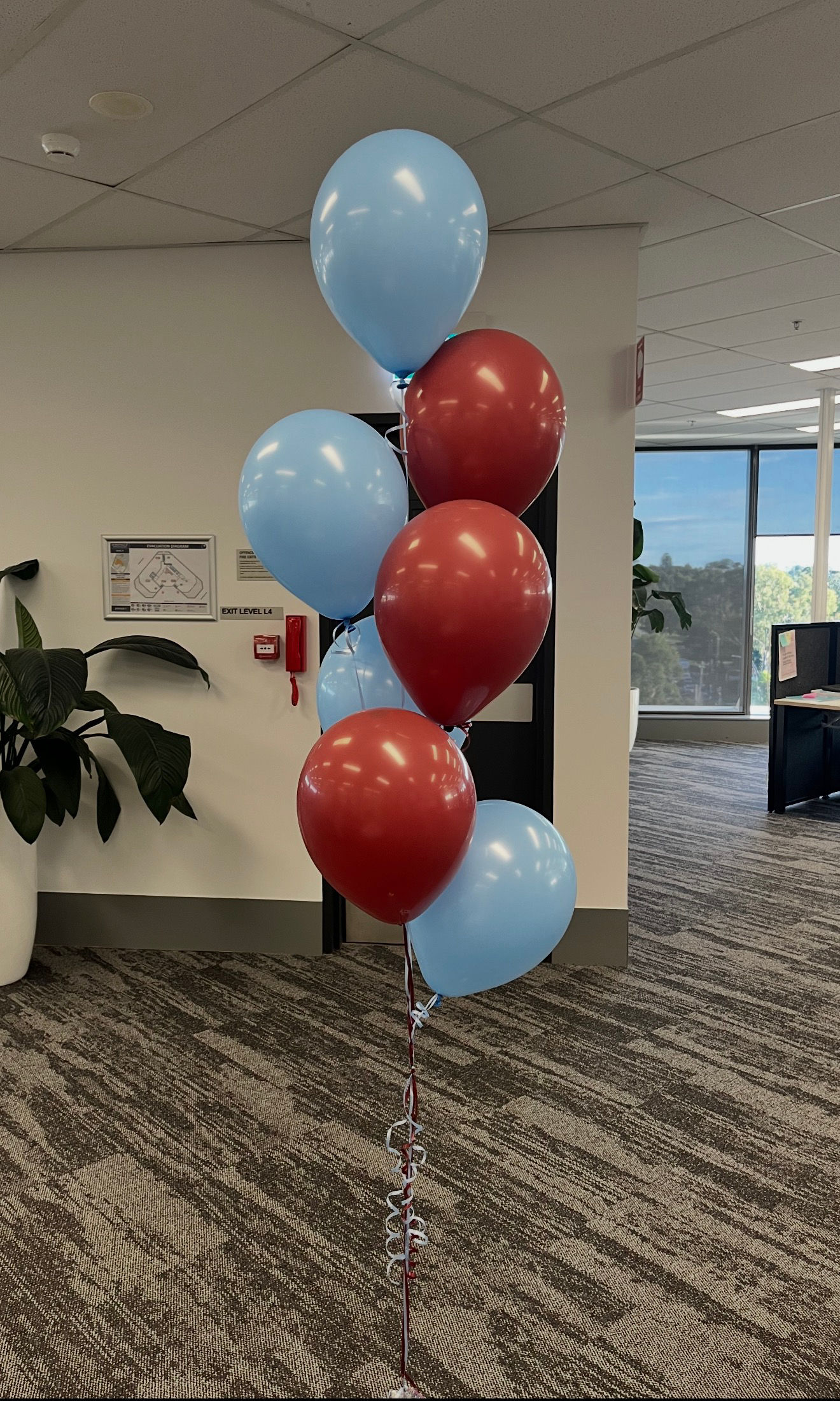 State of Origin Bunch of 7 Helium Balloons