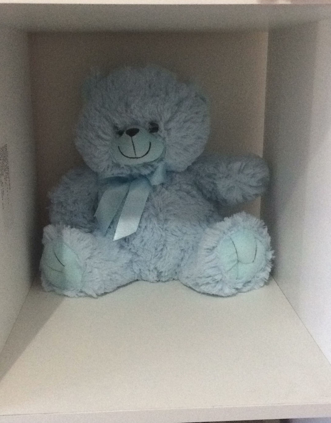 Blue Teddy Bear