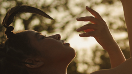 Practices of Contemplative Activism