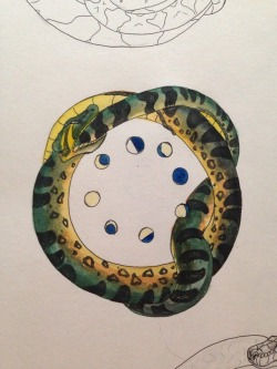 Ouroboros Anaconda