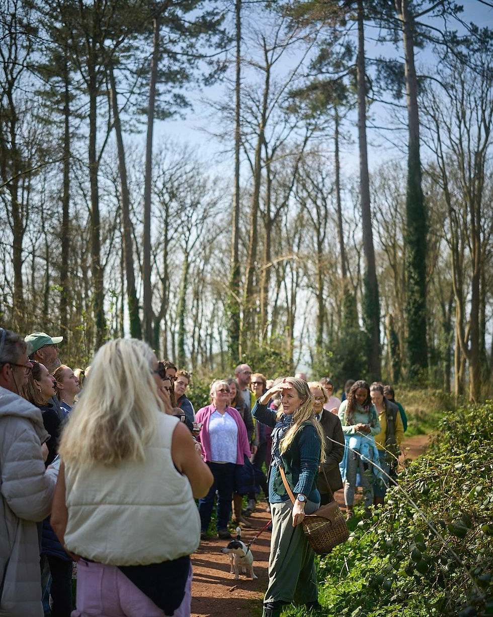 Autumn Herbal Walk