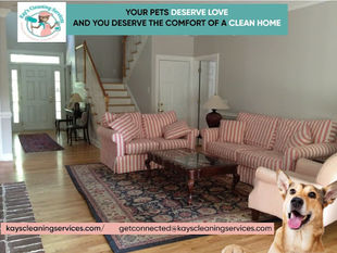 Why Professional Cleaning is a Must for Homes with Pets in Madison