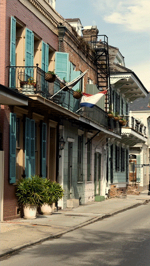 Nola-photobook-1.gif