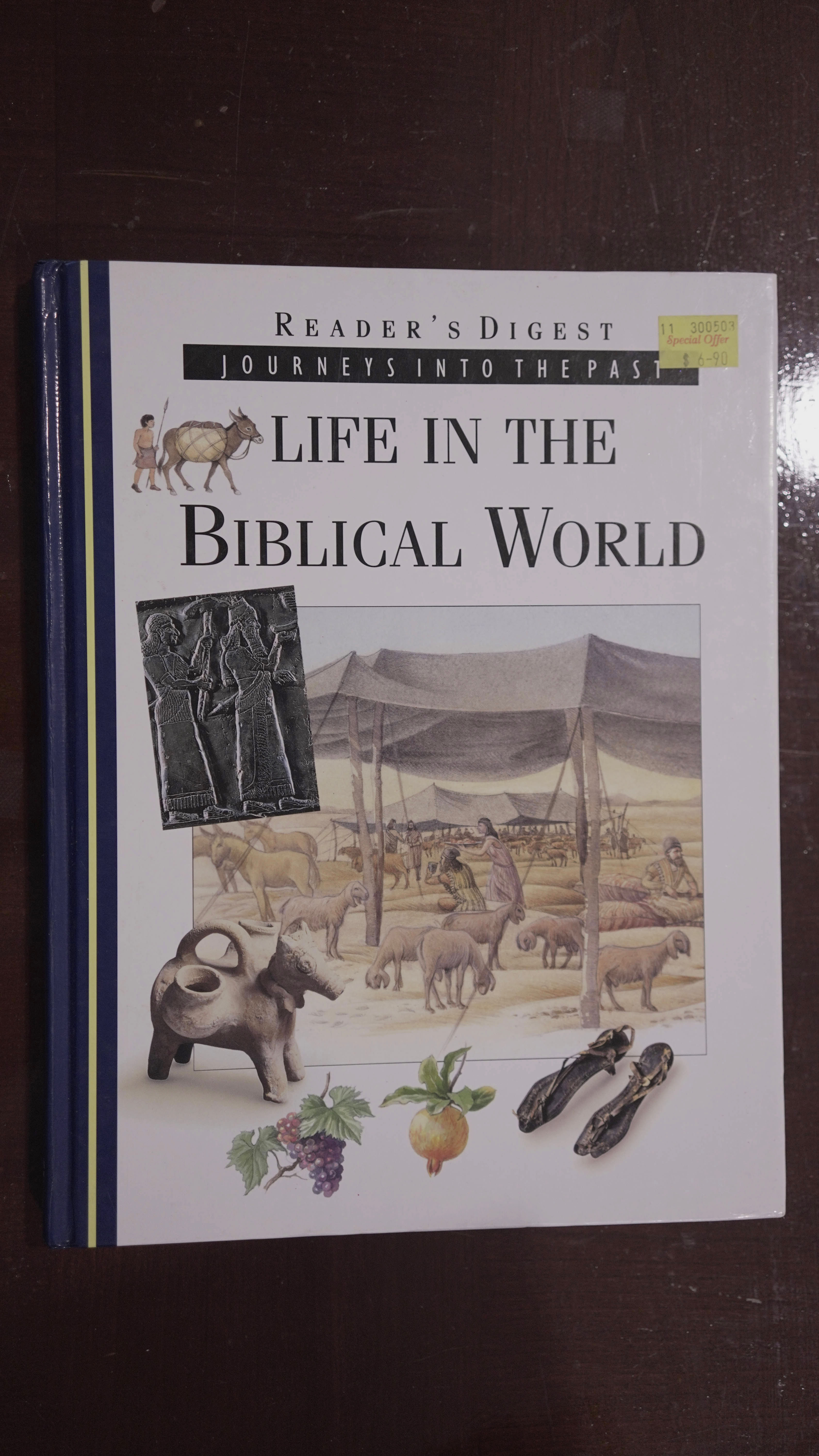 Life In The Biblical World