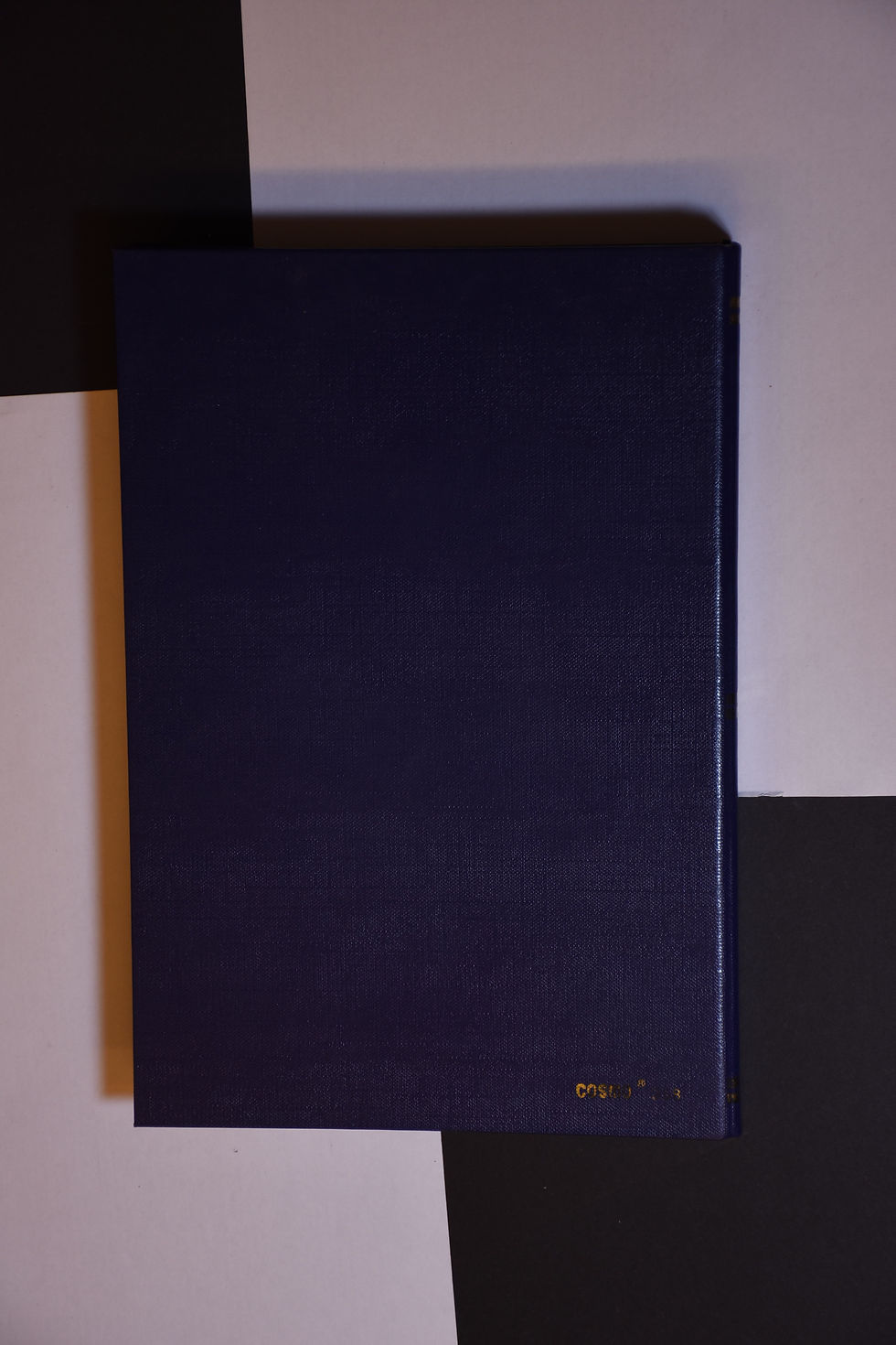 Thumbnail: Blue Stamp Book