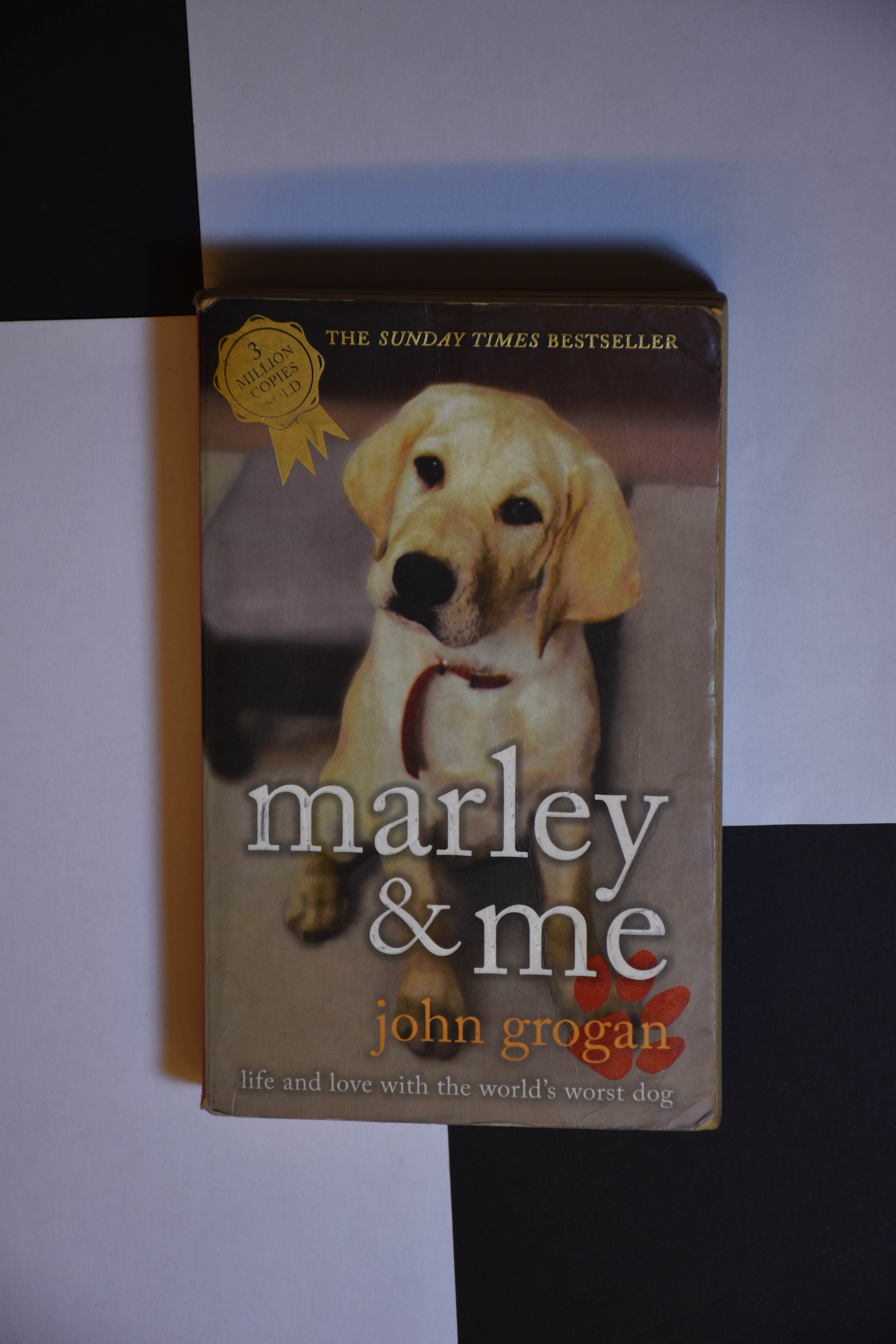 Marley and Me - John Gorgan