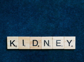 Improving kidney function with lifestyle modification