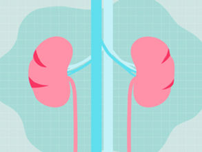 Understanding your kidneys and why it's important to the overall body