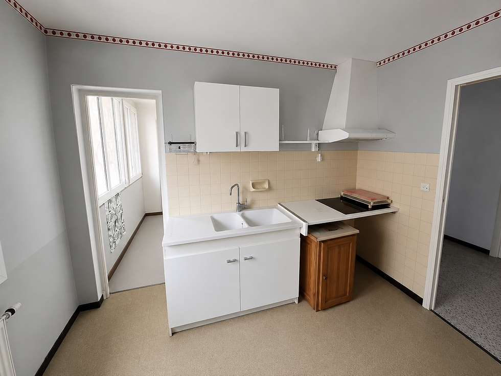 Renovation cuisine appartement laragne avant