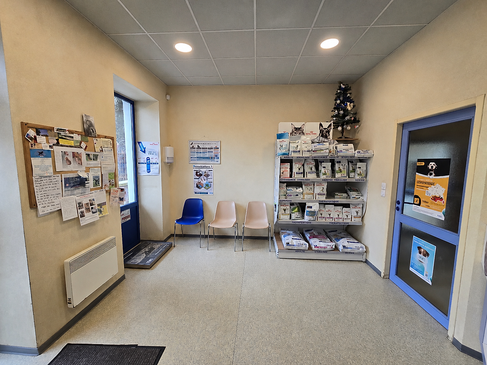 Chantier peinturz laragne veterinaire avant 1