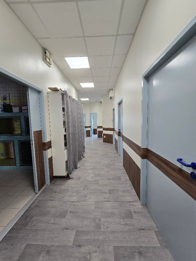 Chantier peinture laragne veterinaire couloir apres 3