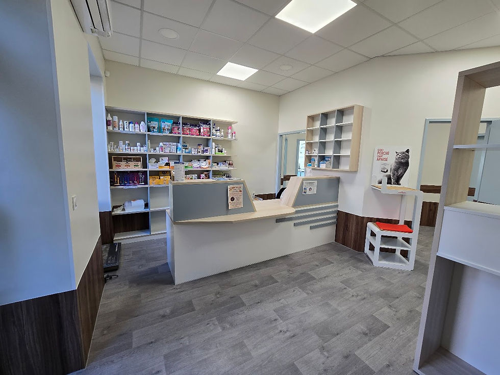 Chantier peinture laragne veterinaire apres 1