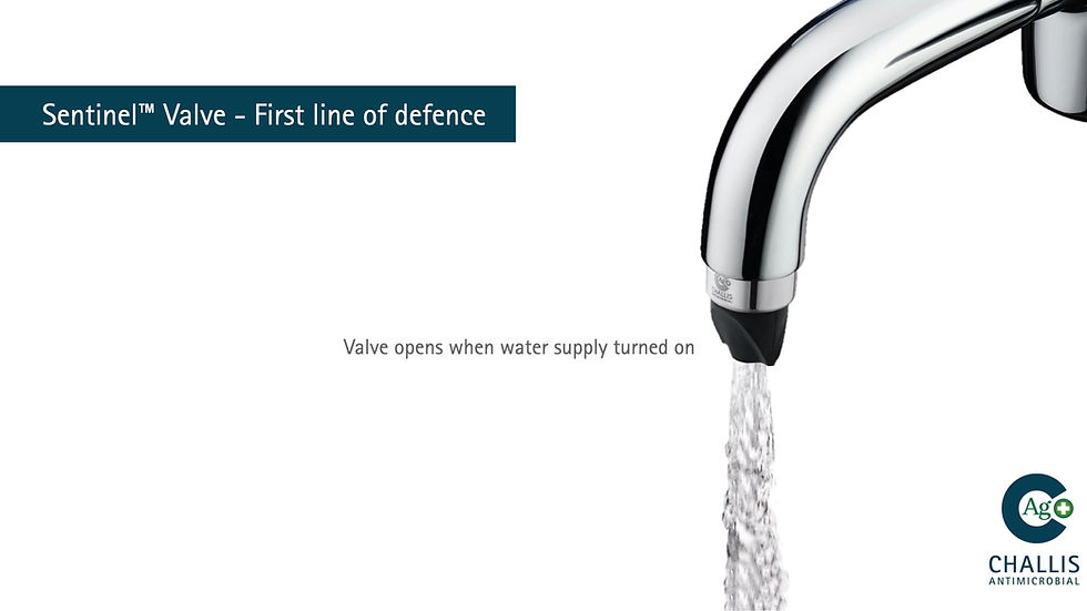 Thumbnail: Challis Sentinel Student Accommodation Anti Microbial Shower Head