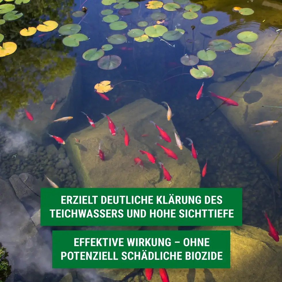 Miniaturbild: BIO-ALGENFREI | 2,5 L | FLÜSSIG | FIVE ELEMENTS