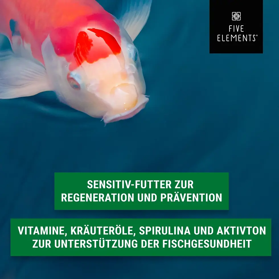 Miniaturbild: KOI PFLEGE PREMIUM | 6,0 KG | BEUTEL | PROTEIN-REDUZIERTES GESUNDHEITSFUTTER