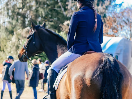 Reitabzeichen März 2026