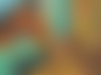 Vorbereitungskurs Reitabzeichen