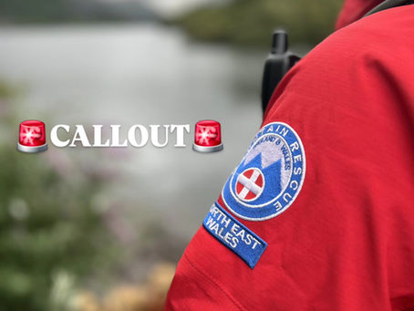 CALLOUT - Teenager stuck on Crag near Dyserth 22.04.26