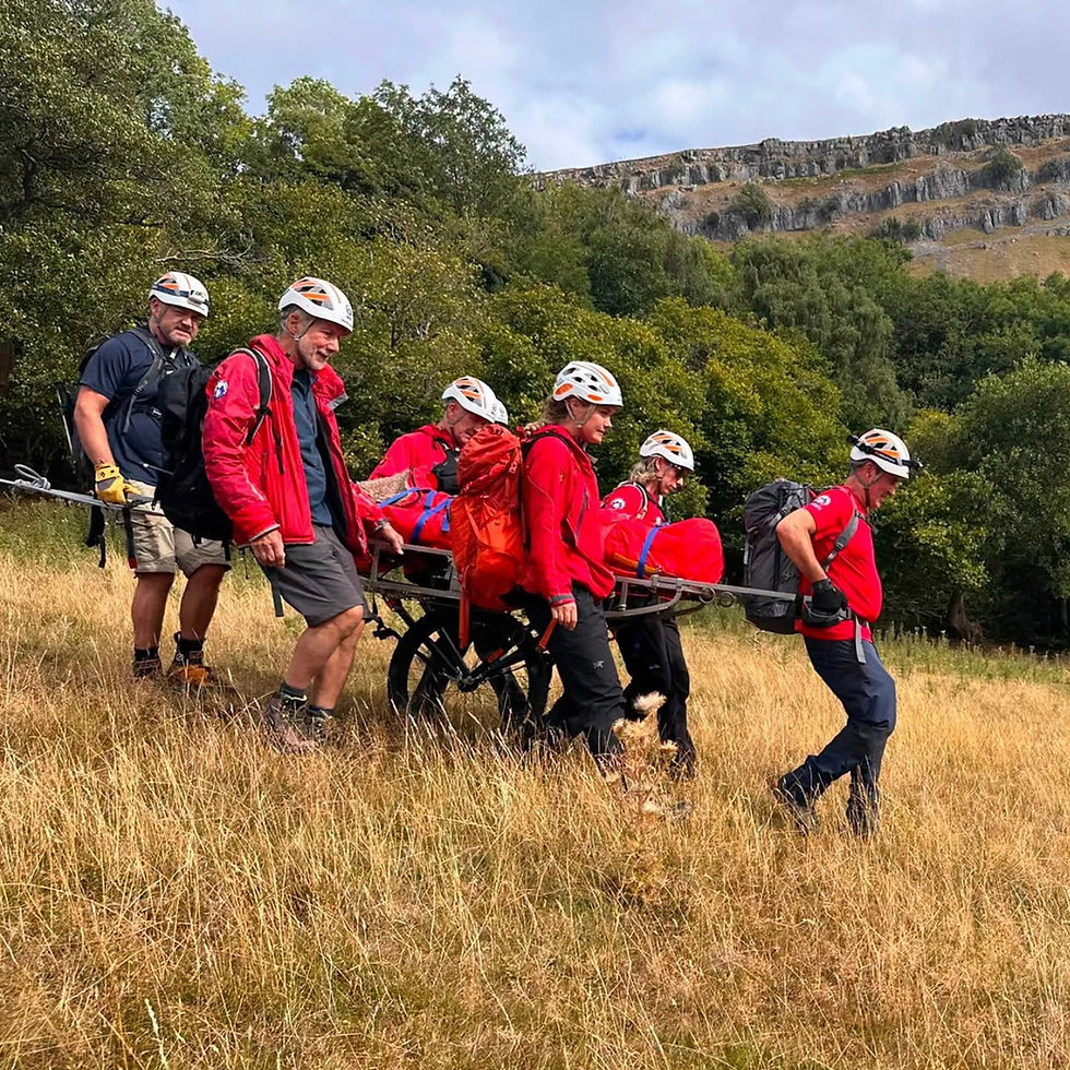 CALLOUT - Injured Walker in Llantysilio. 05 08 26