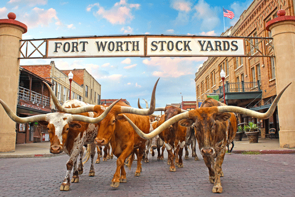 Fort Worth.gif