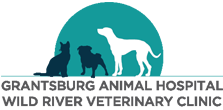 Grantsburg Animal Hospital donates to Luck FFA