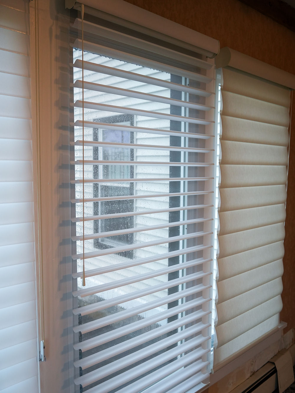 Window with horizontal blinds and cellular shades