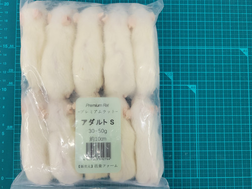 冷凍ラットアダルトS10匹 | 爬虫類の楽園 Suke Rep神戸店