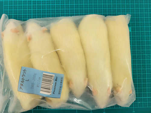 冷凍ラットアダルトL5匹 | 爬虫類の楽園 Suke Rep神戸店