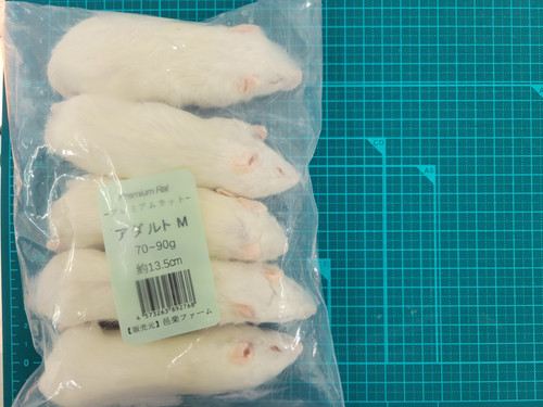 冷凍ラットアダルトM5匹 | 爬虫類の楽園 Suke Rep神戸店
