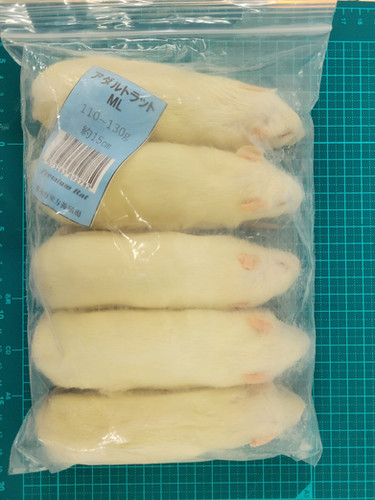 M K K　冷凍ラットSM M ML15匹ずつオマケ付 冷凍ラットアダルトML5匹 | 爬虫類の楽園 Suke Rep神戸店
