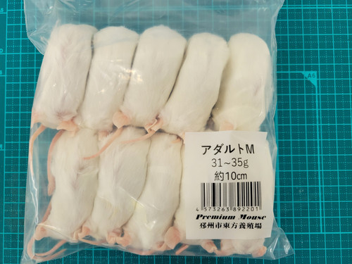 冷凍マウスアダルトM10匹 | 爬虫類の楽園 Suke Rep神戸店