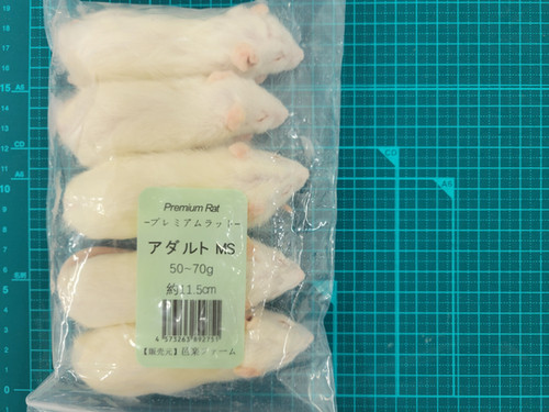 冷凍ラットアダルトMS4匹 | 爬虫類の楽園 Suke Rep神戸店