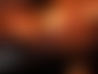 Governo nega desmatamentos enquanto Brasil registra recordes de perda florestal