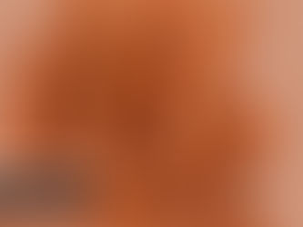 Dia do Nordestino celebra a força nacional da região