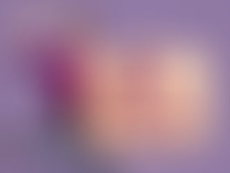 Hoje é o Dia Internacional pela Eliminação da Violência contra as Mulheres