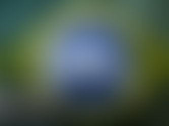 Governo desmonta programas alimentares enquanto fome avança